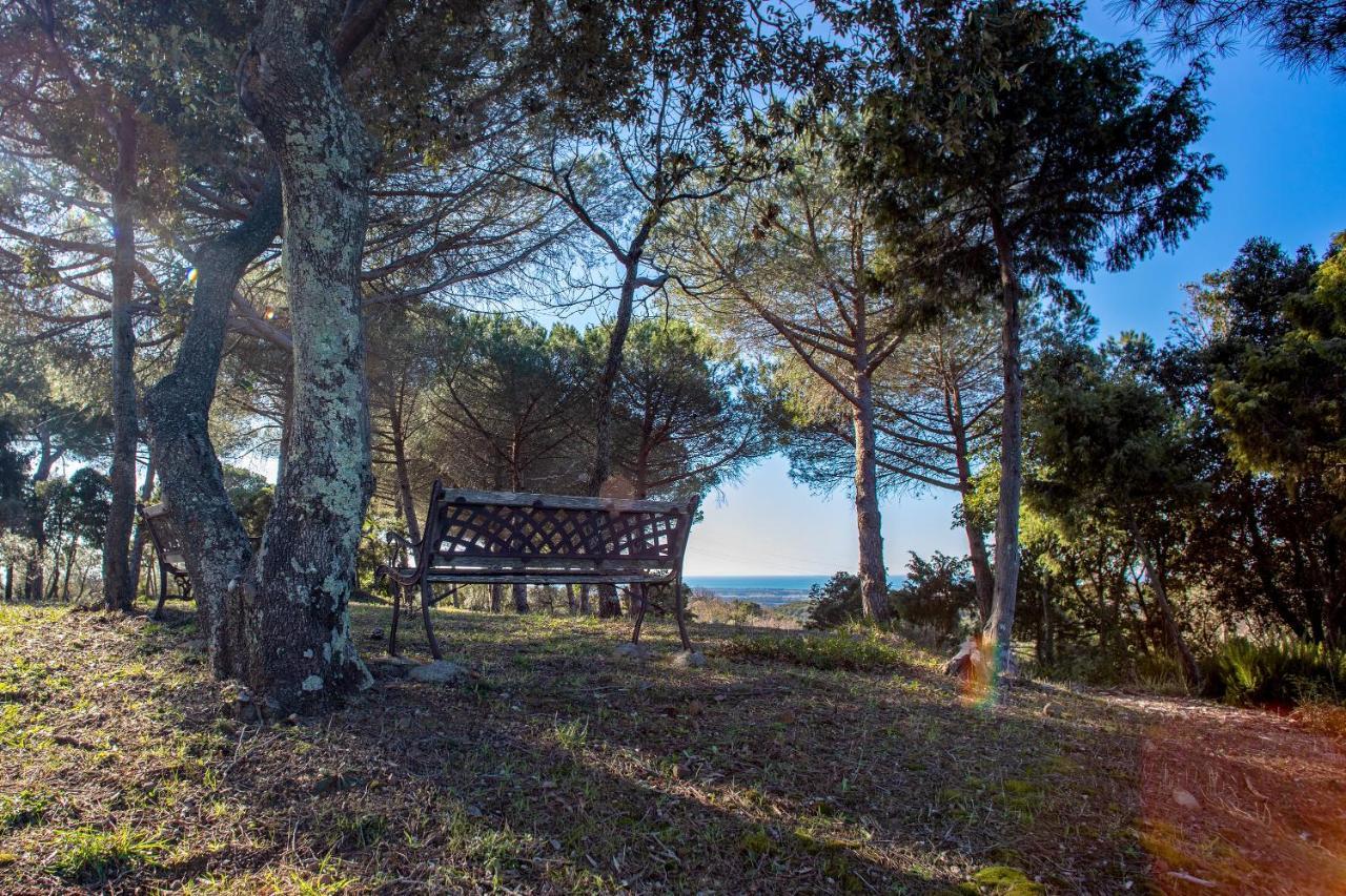 Glamping Debbiare Hotel Riparbella Exterior photo