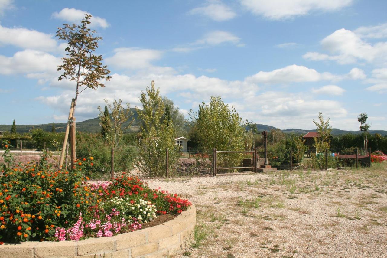 Glamping Debbiare Hotel Riparbella Exterior photo