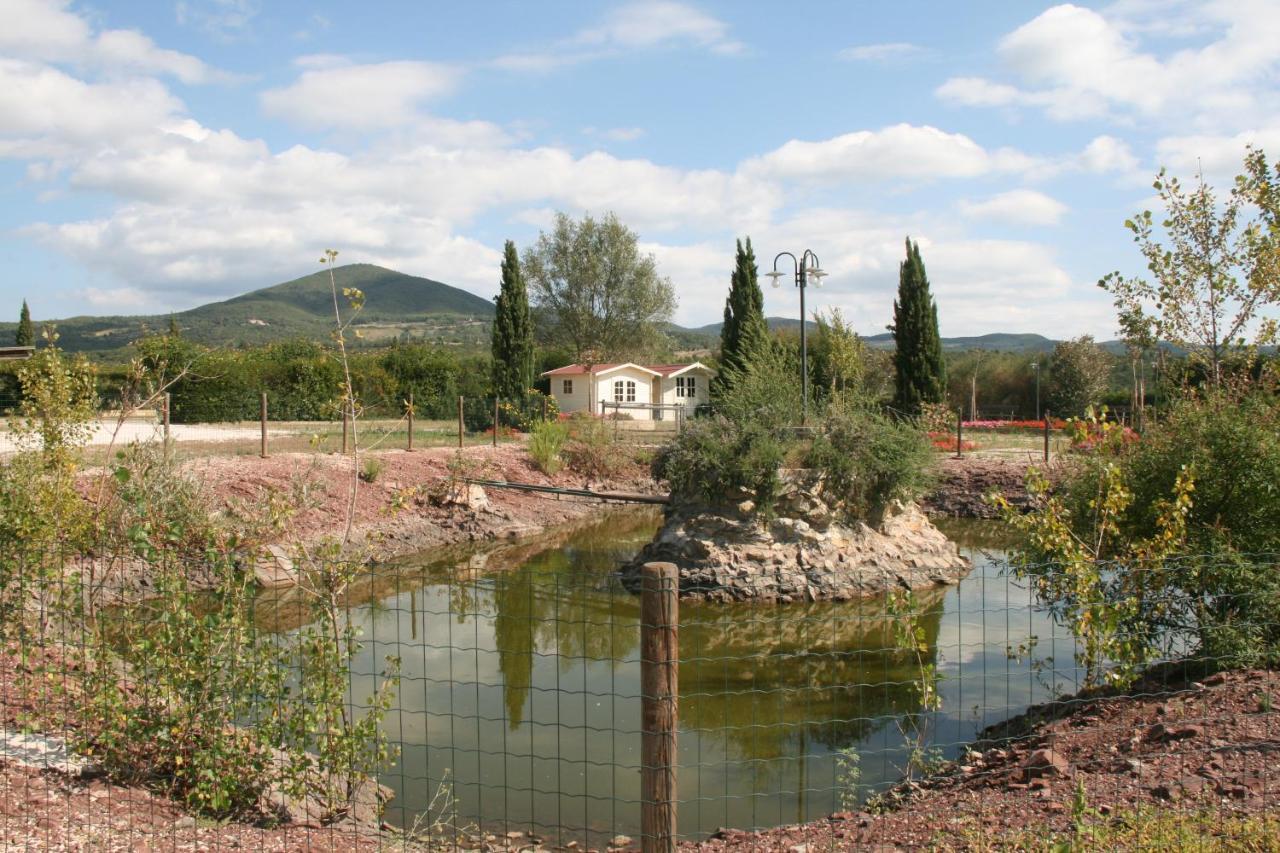 Glamping Debbiare Hotel Riparbella Exterior photo