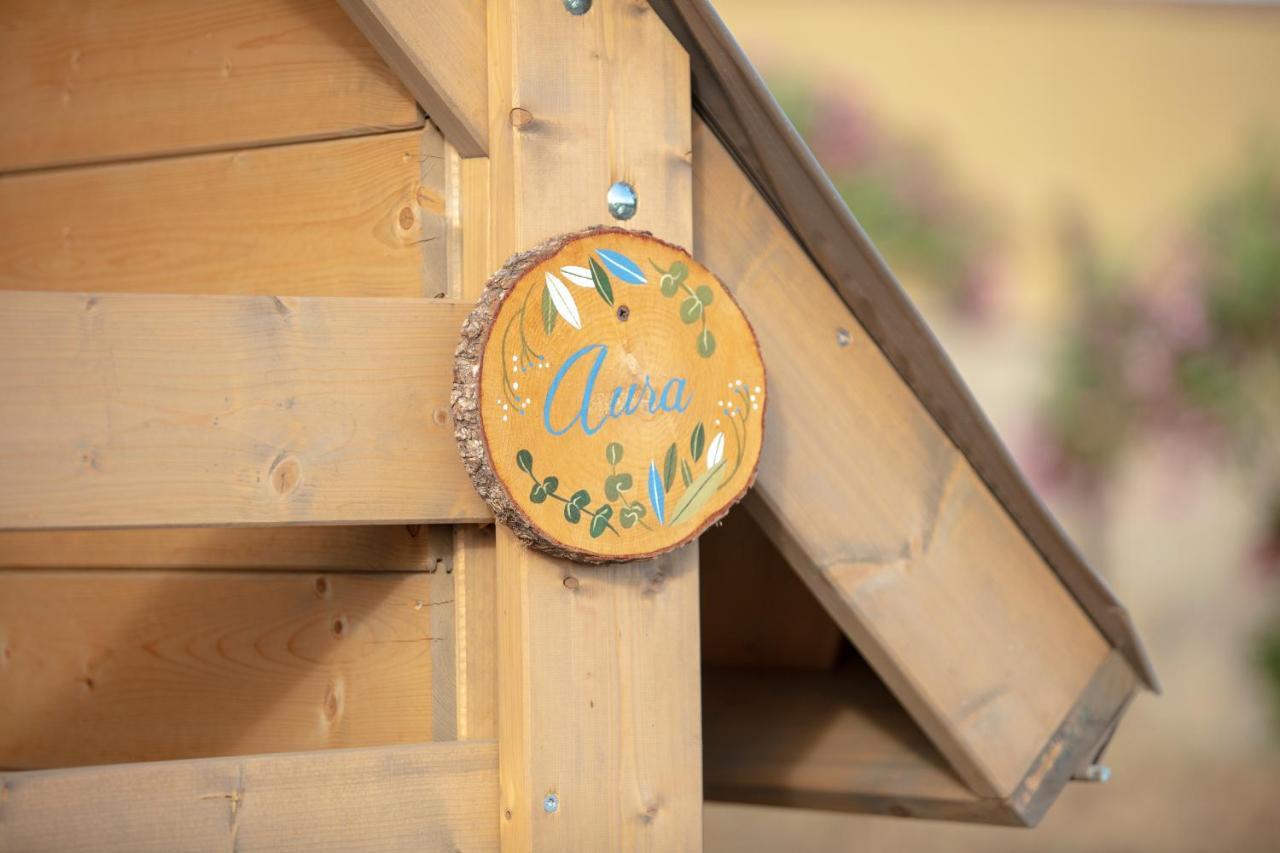 Glamping Debbiare Hotel Riparbella Exterior photo